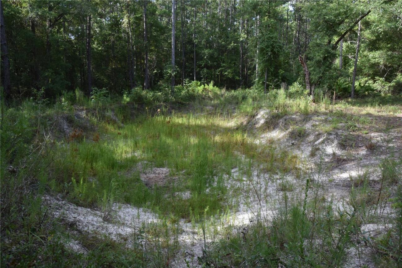 375 Buck Springs Road, Palatka, FL 32177 Photo