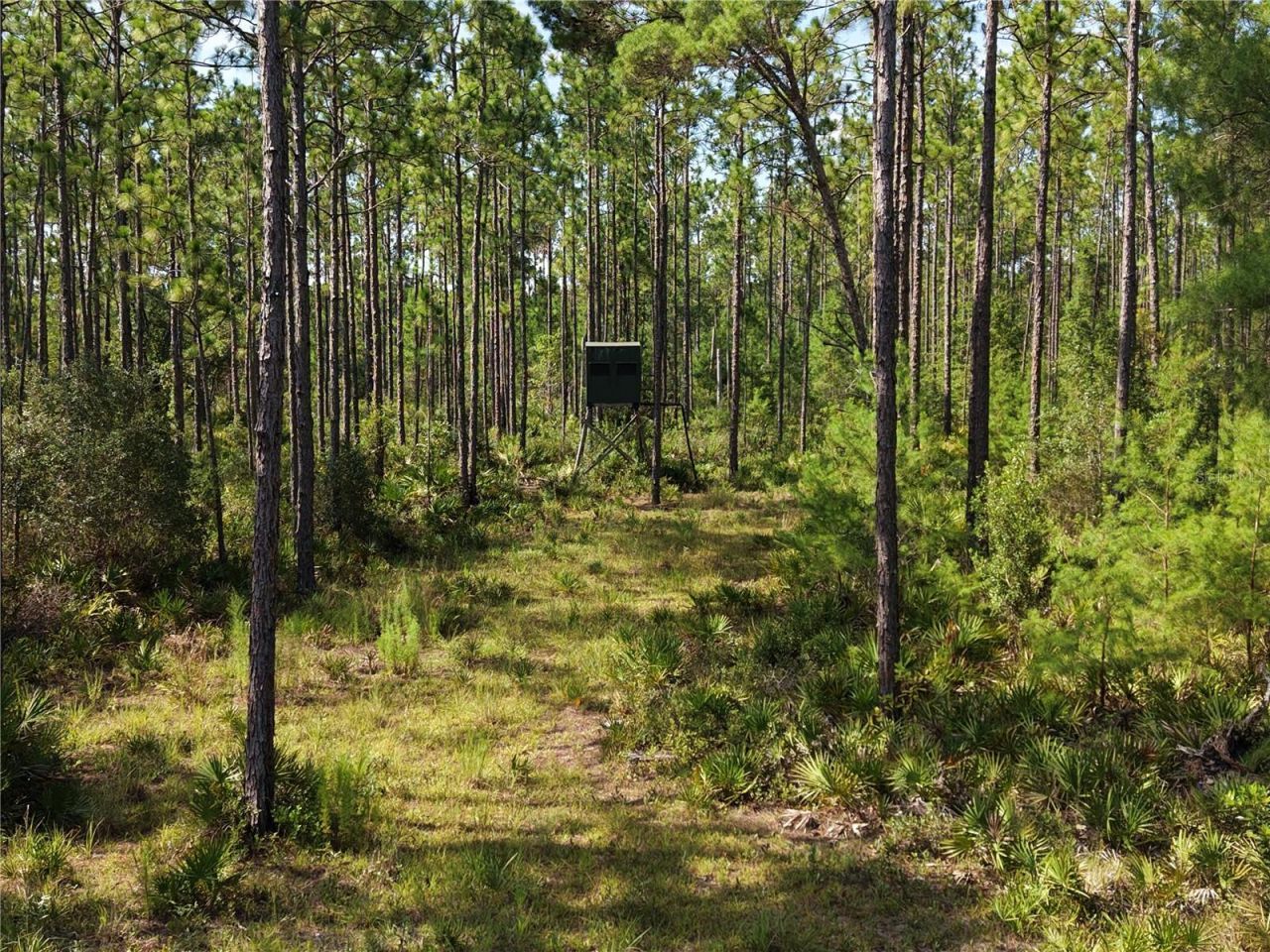 375 Buck Springs Road, Palatka, FL 32177 Photo