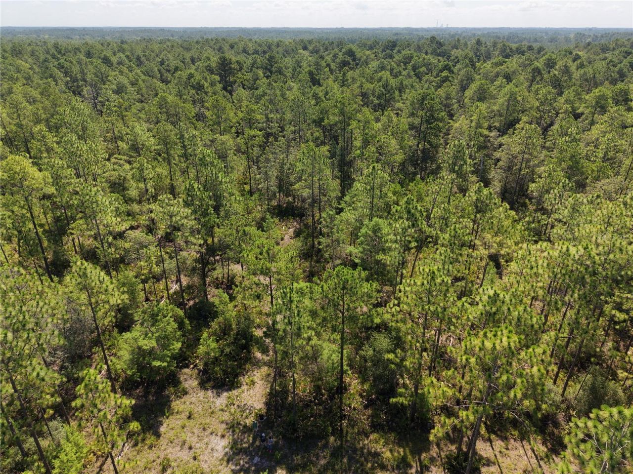 375 Buck Springs Road, Palatka, FL 32177 Photo