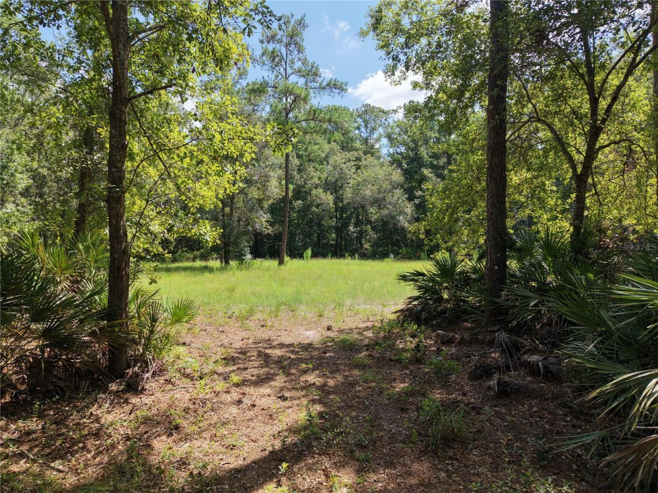 375 Buck Springs Road, Palatka, FL 32177 Photo