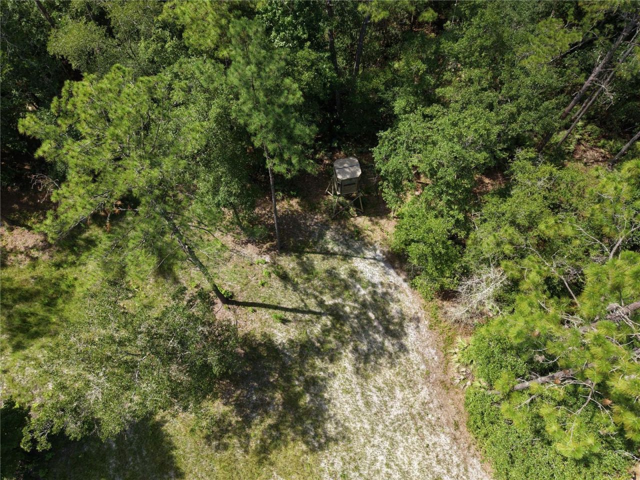 375 Buck Springs Road, Palatka, FL 32177 Photo