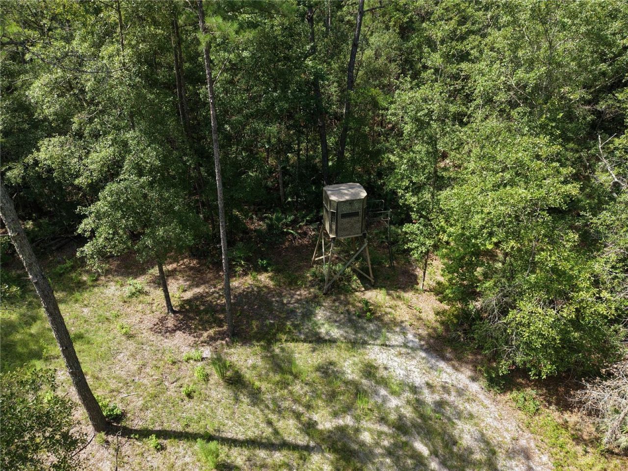 375 Buck Springs Road, Palatka, FL 32177 Photo