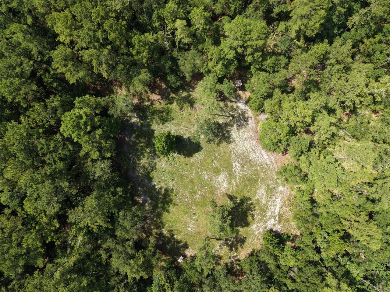 375 Buck Springs Road, Palatka, FL 32177 Photo