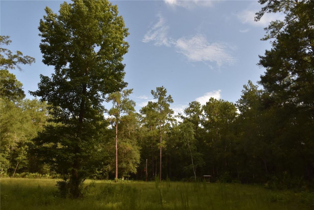 375 Buck Springs Road, Palatka, FL 32177 Photo