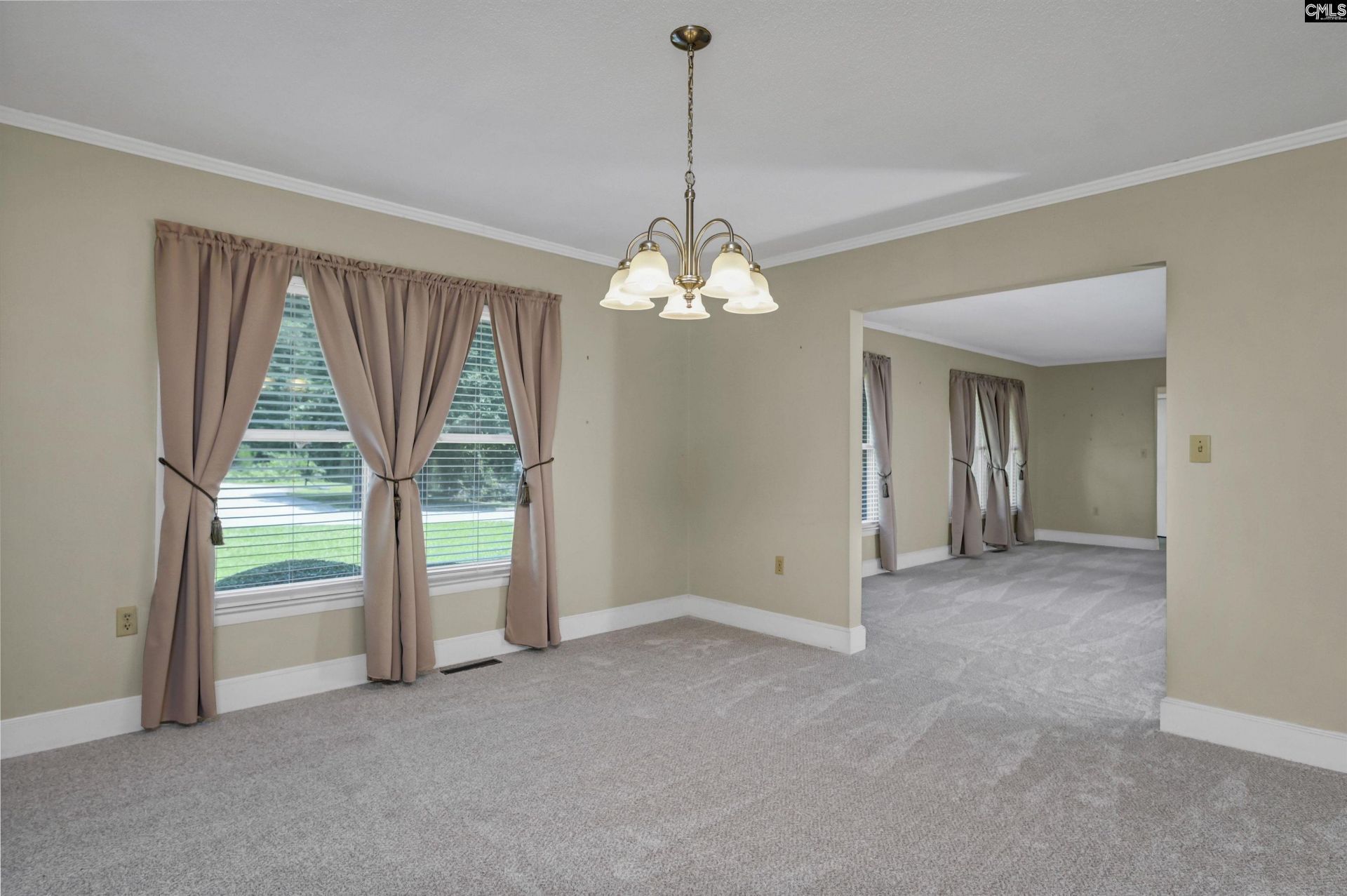 1119 Douglas Street Photo 27