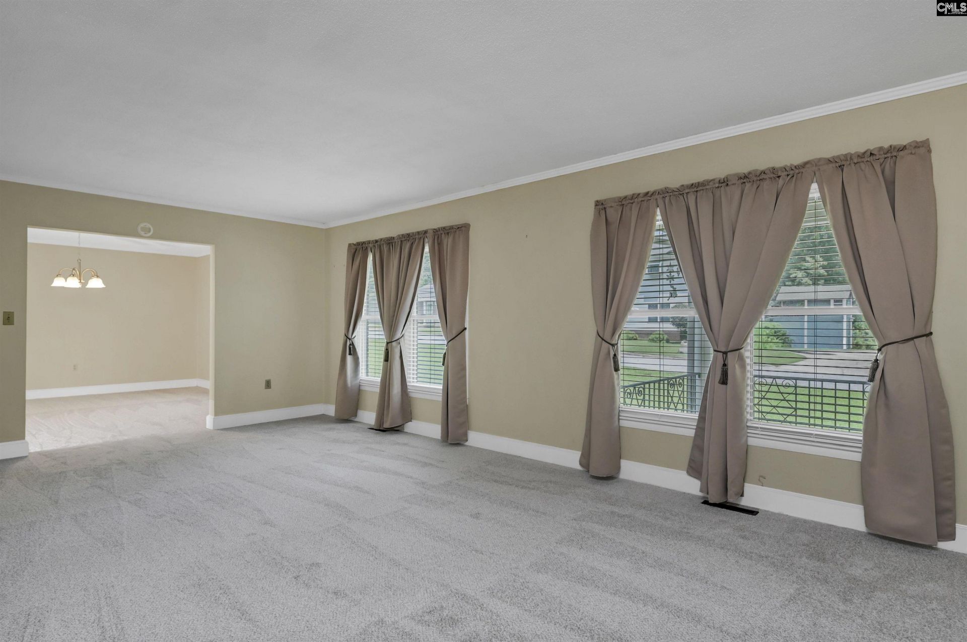 1119 Douglas Street Photo 29