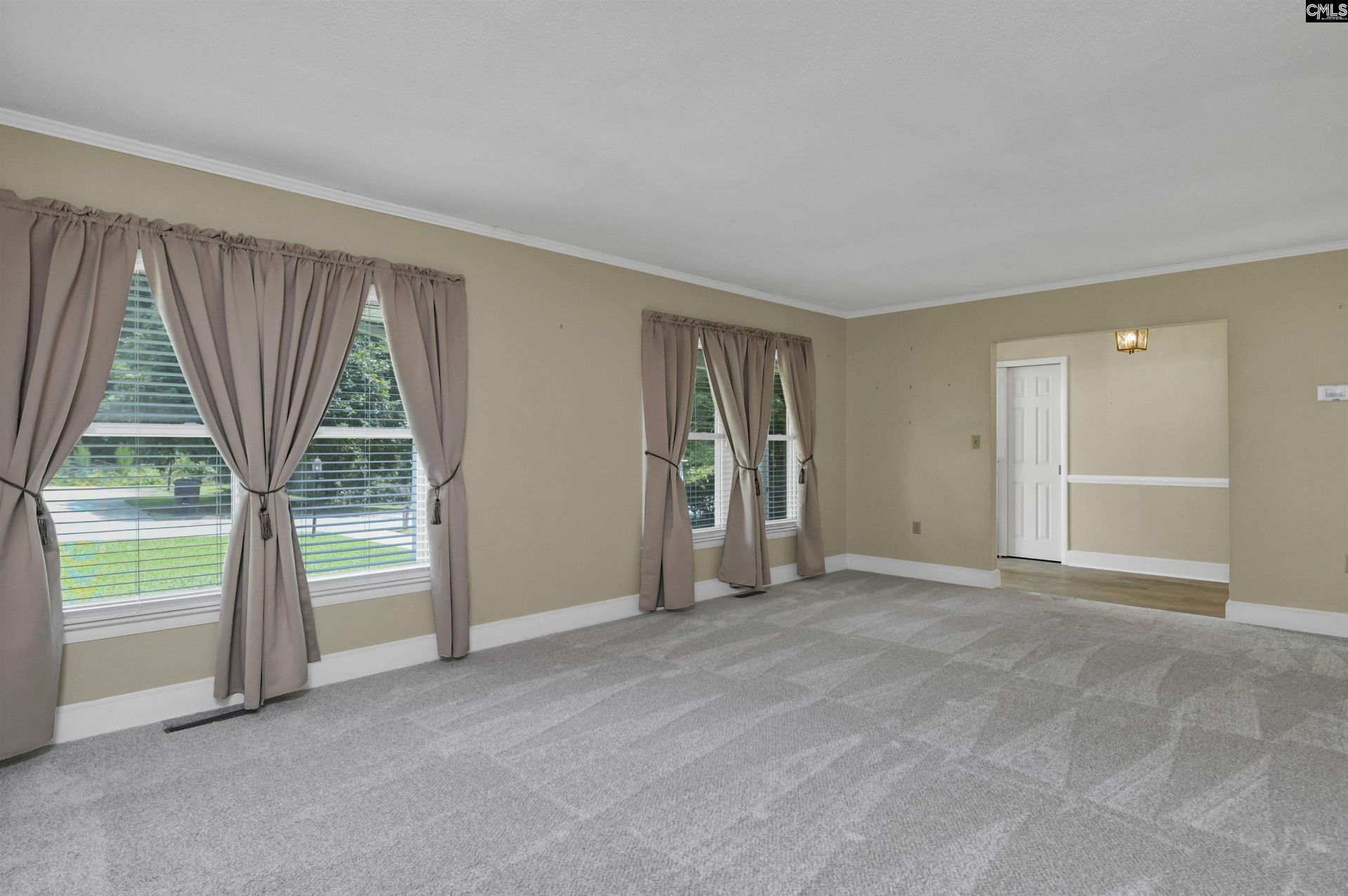 1119 Douglas Street Photo 30