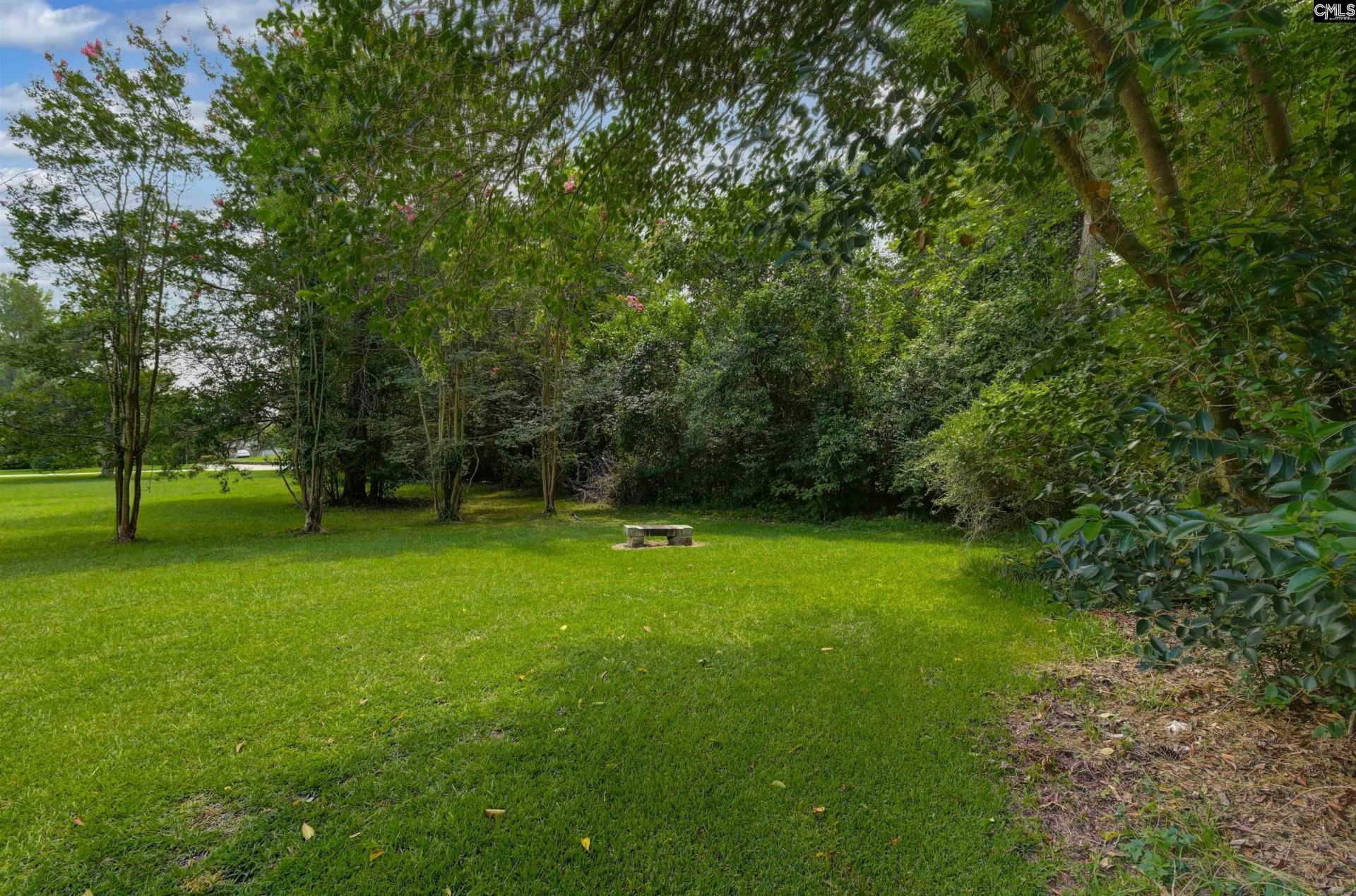 1119 Douglas Street Photo 38