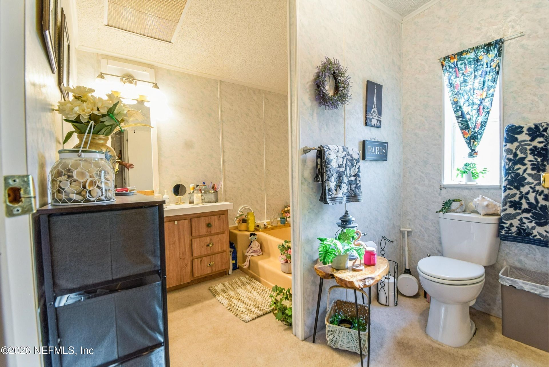222 Plumosa Drive, Georgetown, FL 32139 Photo