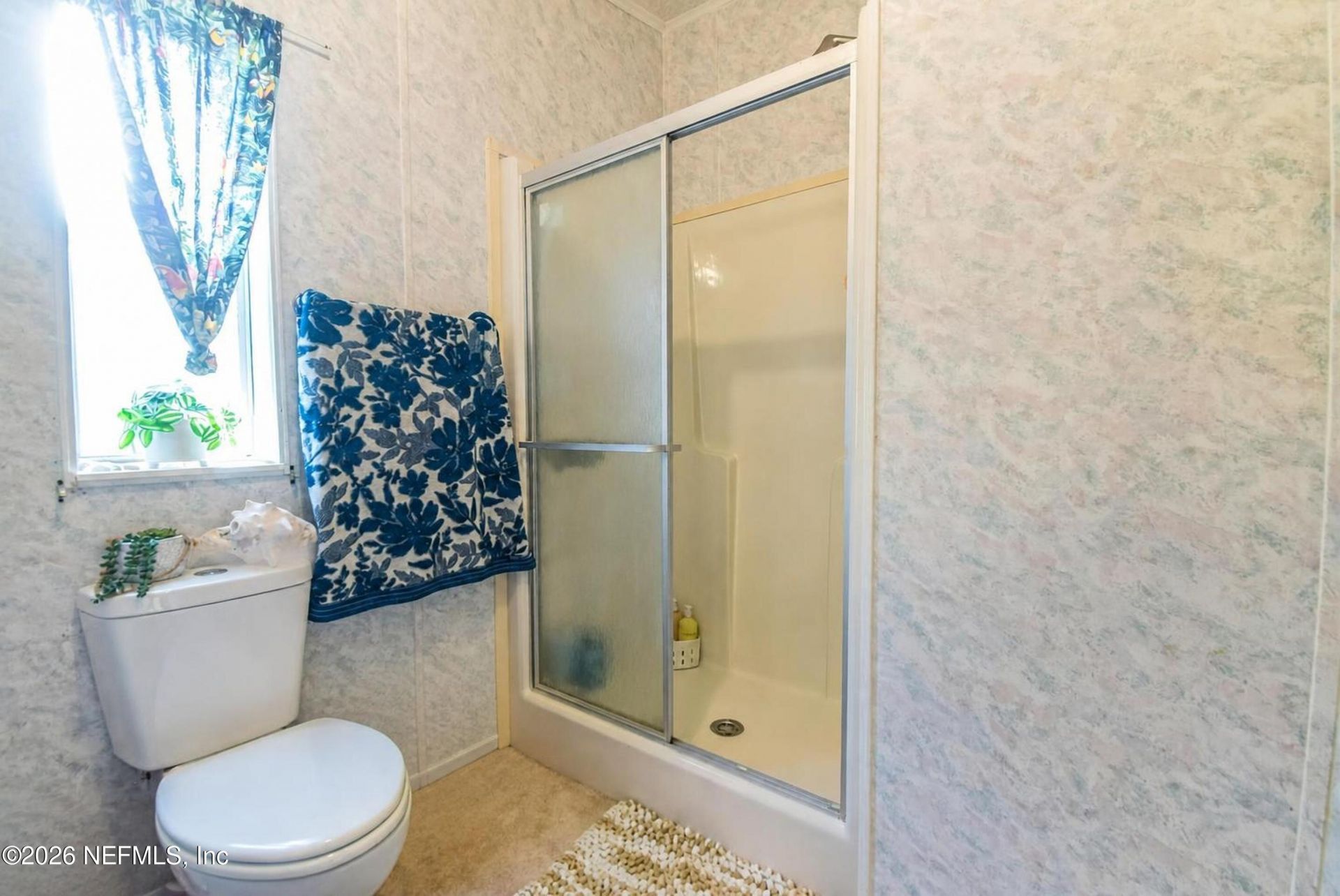 222 Plumosa Drive, Georgetown, FL 32139 Photo