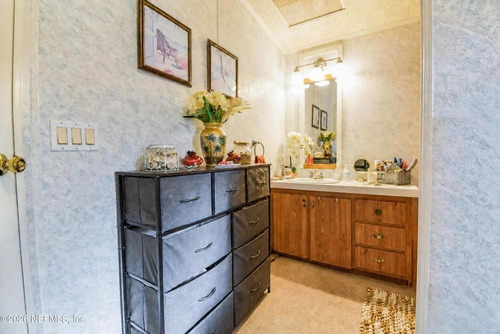 222 Plumosa Drive, Georgetown, FL 32139 Photo