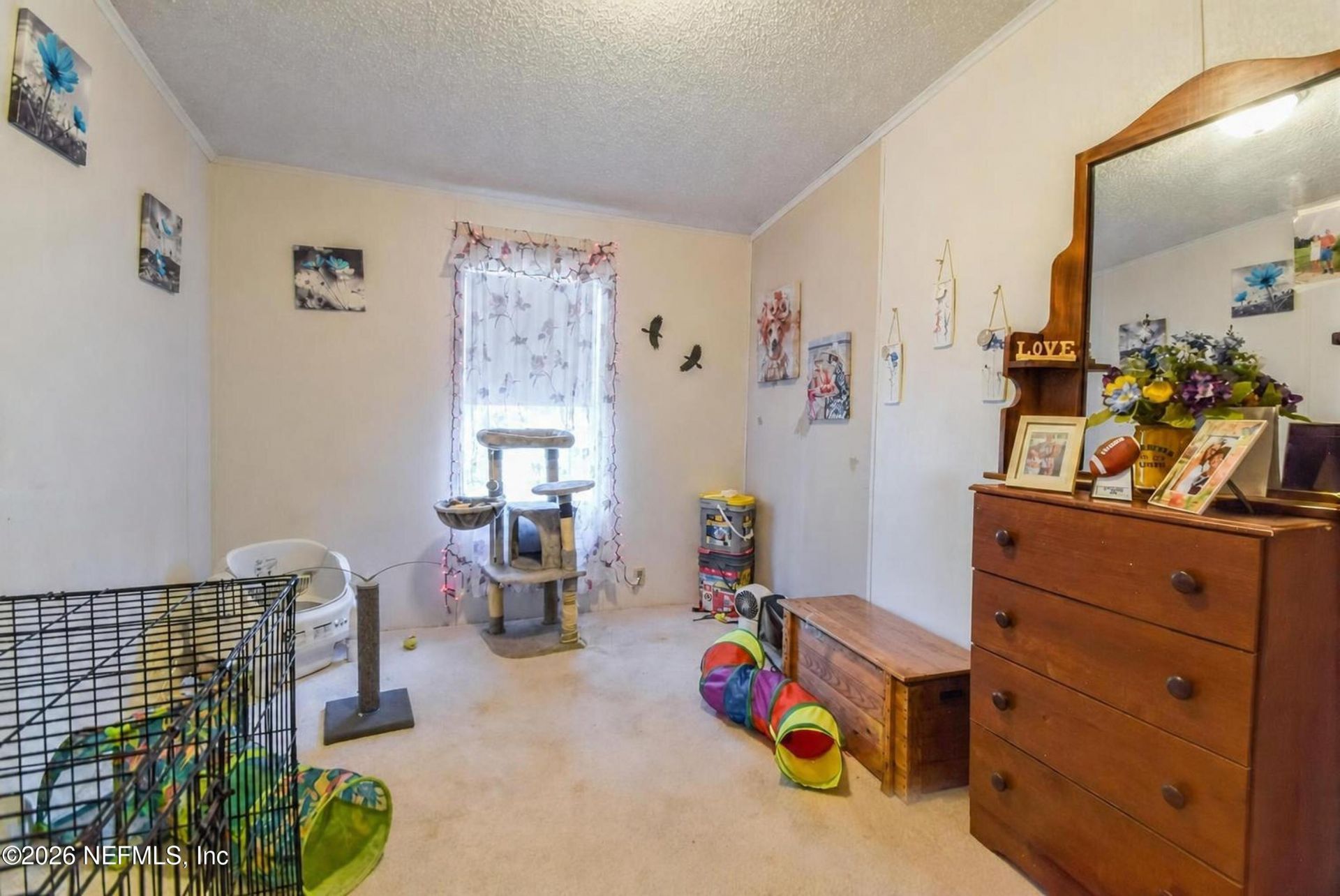 222 Plumosa Drive, Georgetown, FL 32139 Photo