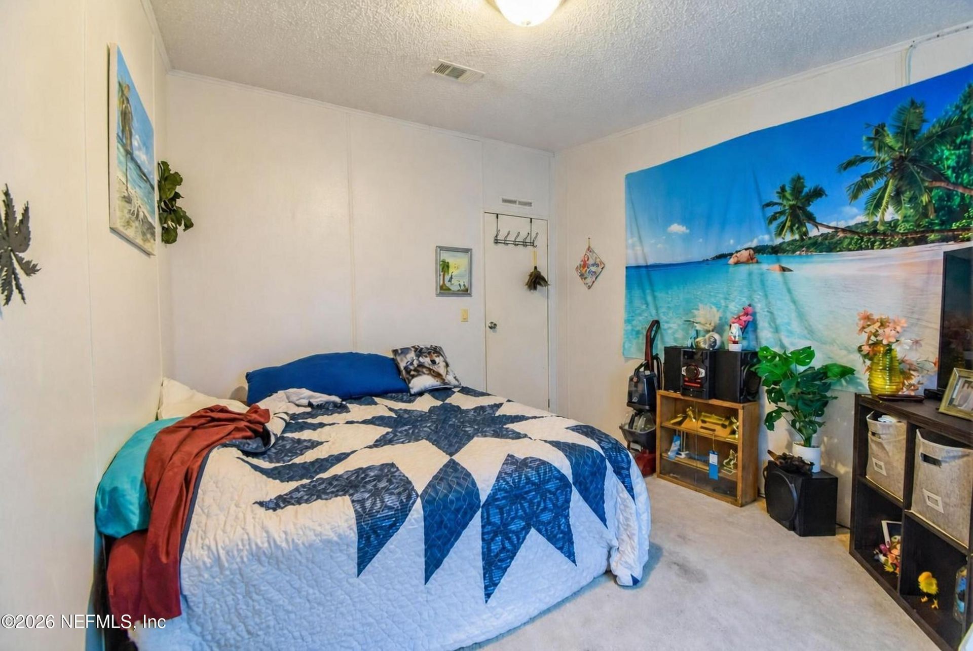 222 Plumosa Drive, Georgetown, FL 32139 Photo