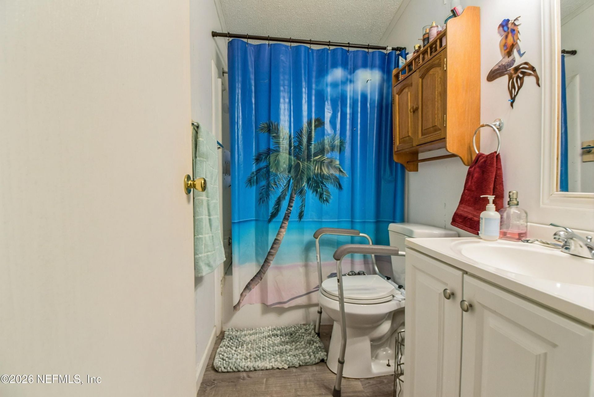 222 Plumosa Drive, Georgetown, FL 32139 Photo