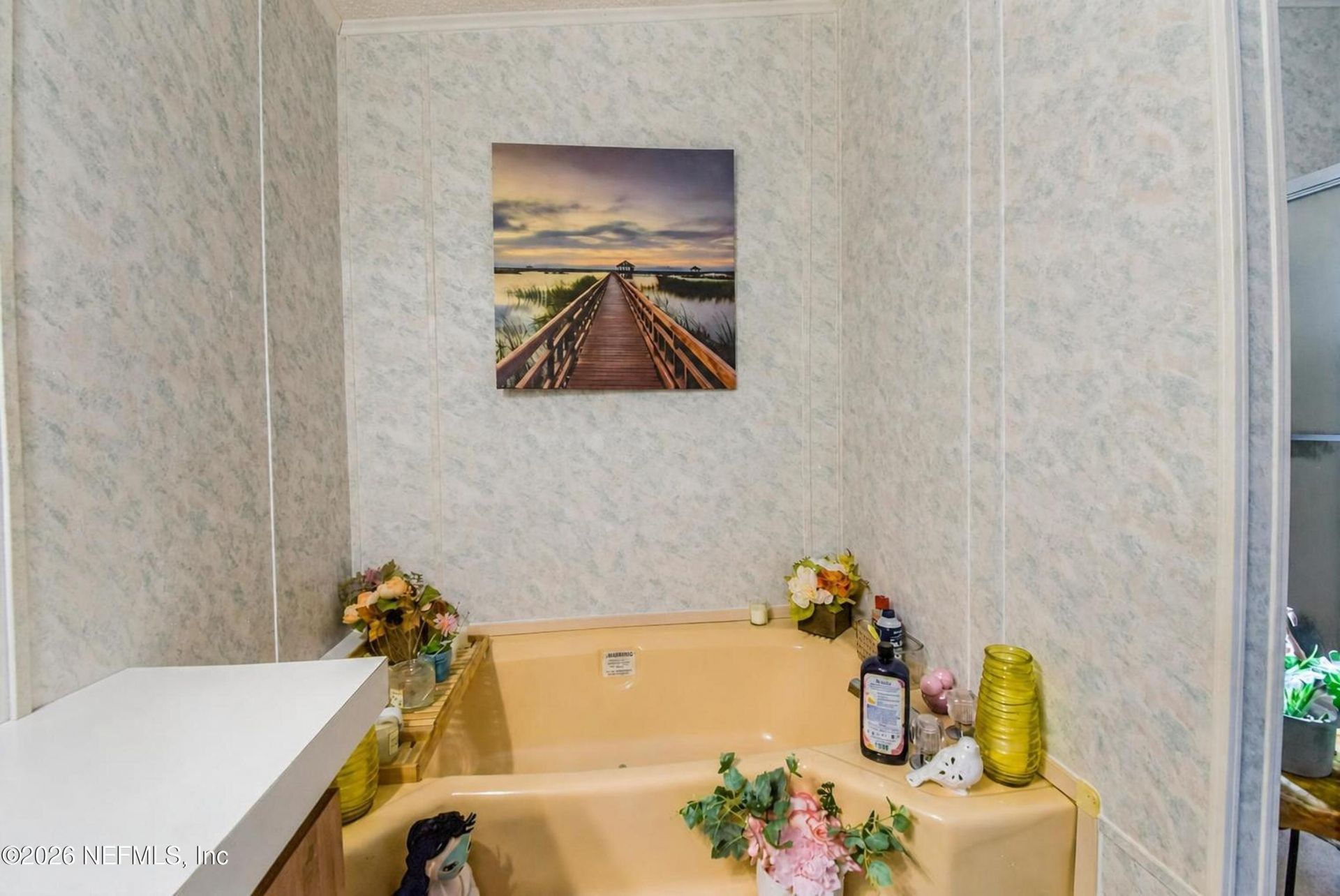 222 Plumosa Drive, Georgetown, FL 32139 Photo
