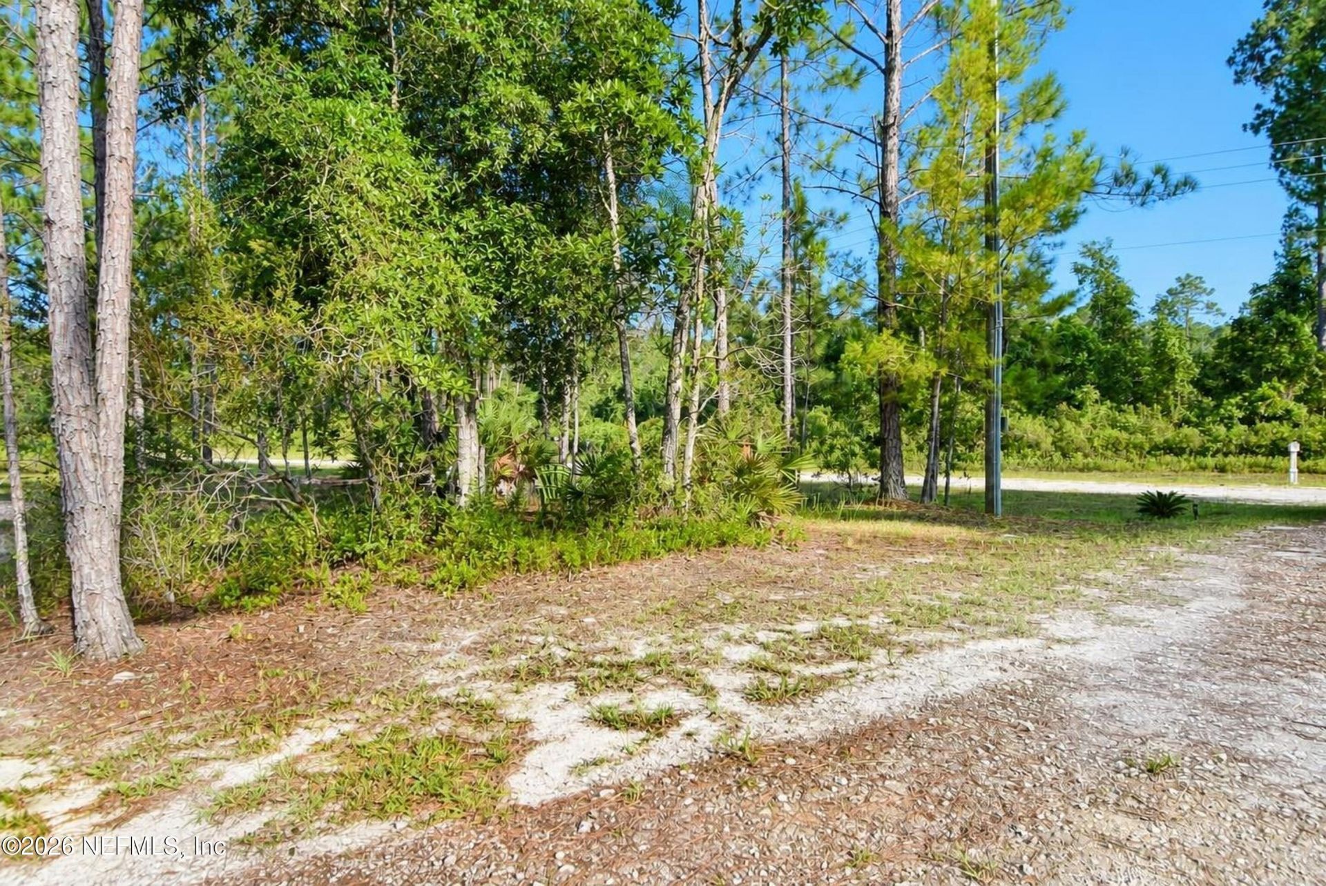 222 Plumosa Drive, Georgetown, FL 32139 Photo