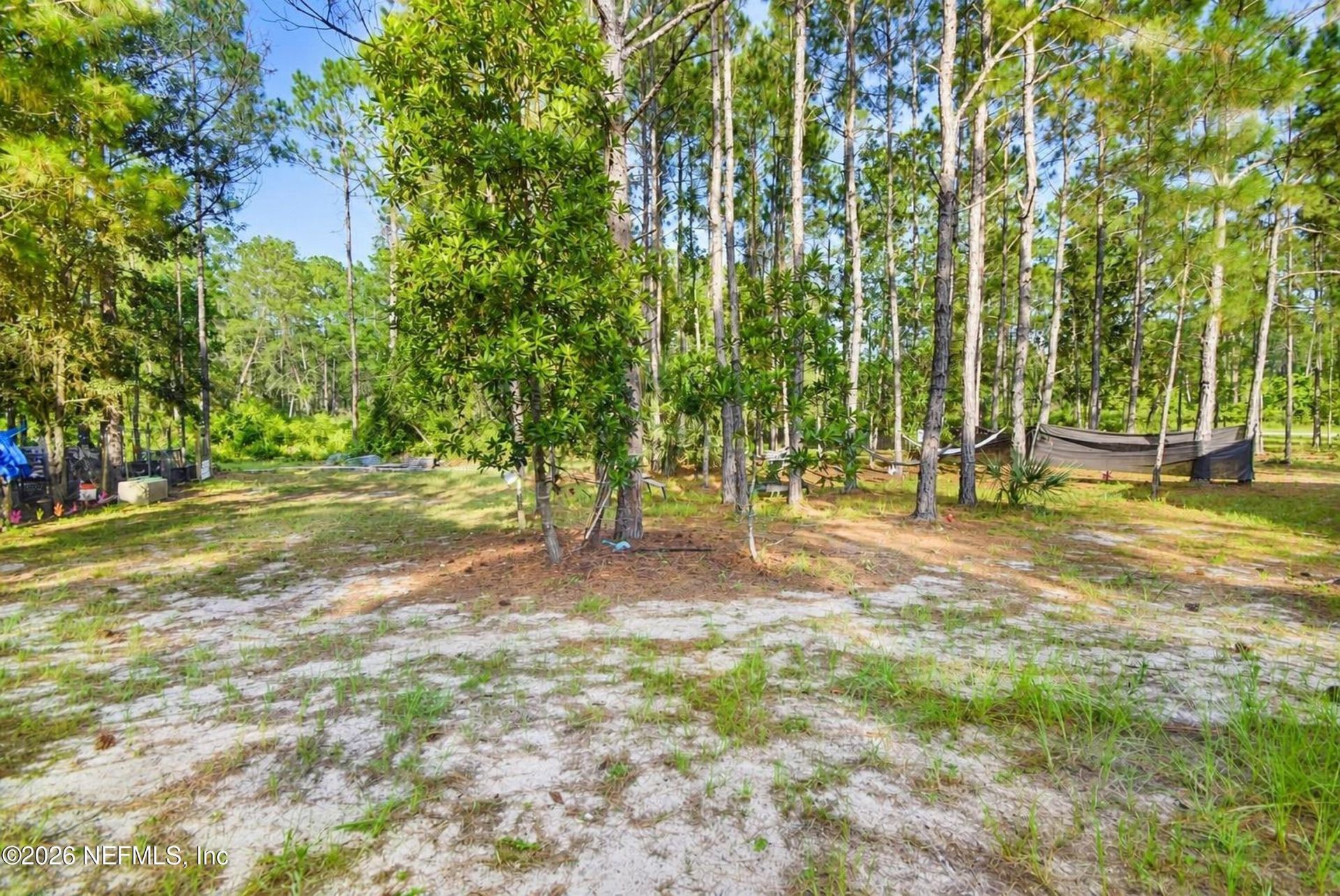 222 Plumosa Drive, Georgetown, FL 32139 Photo