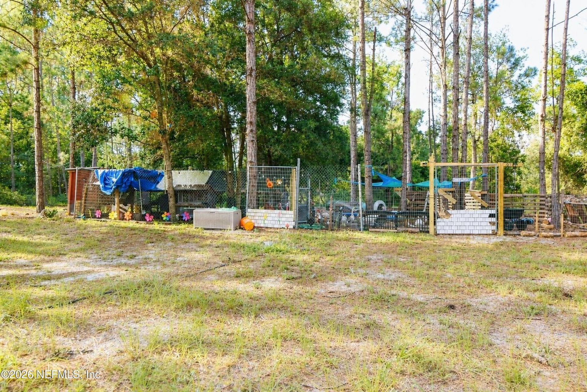 222 Plumosa Drive, Georgetown, FL 32139 Photo