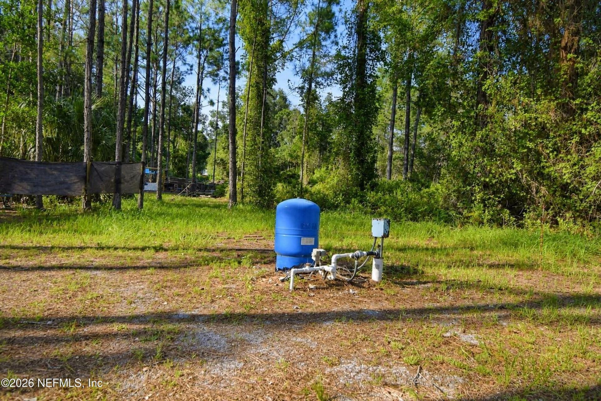 222 Plumosa Drive, Georgetown, FL 32139 Photo