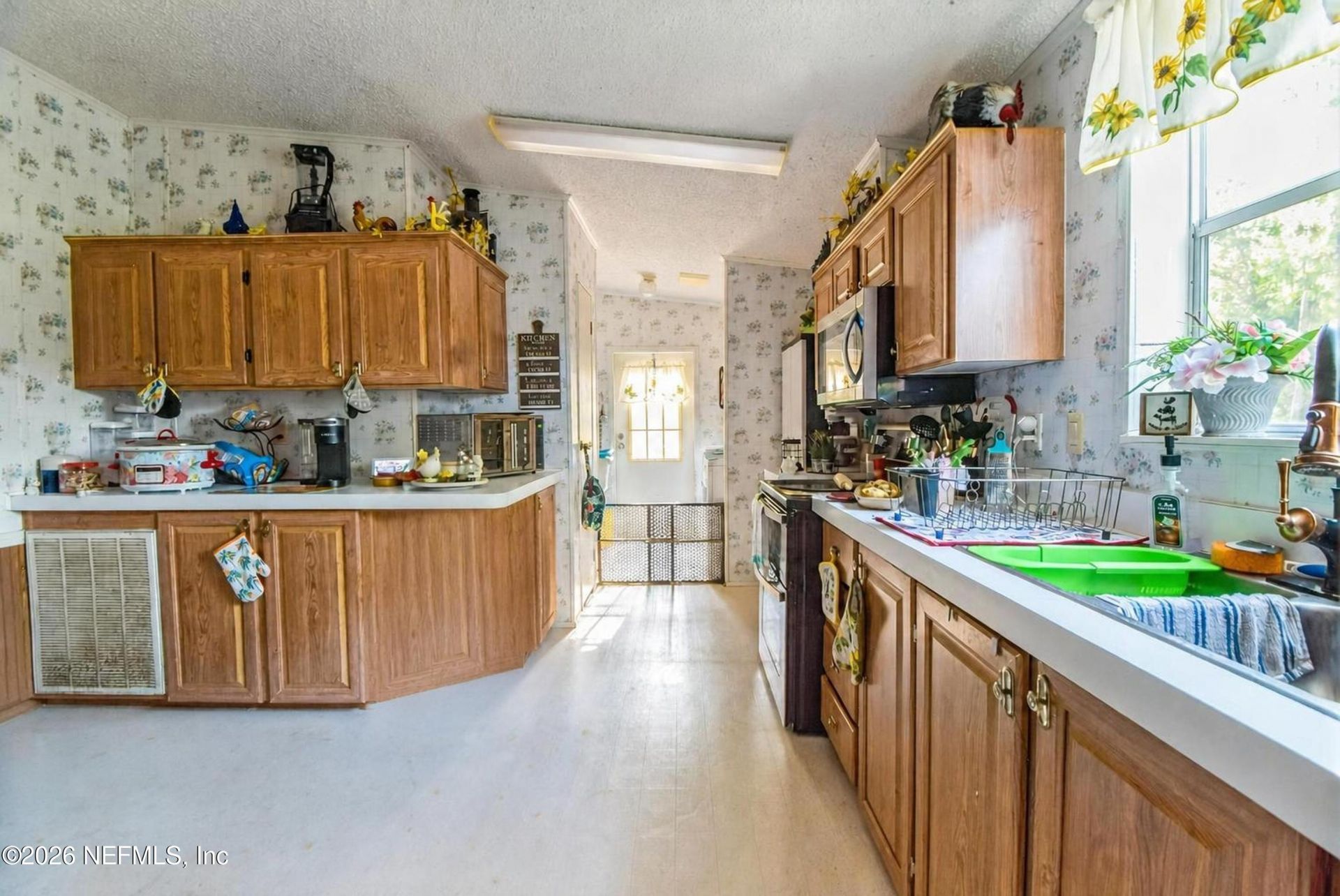 222 Plumosa Drive, Georgetown, FL 32139 Photo