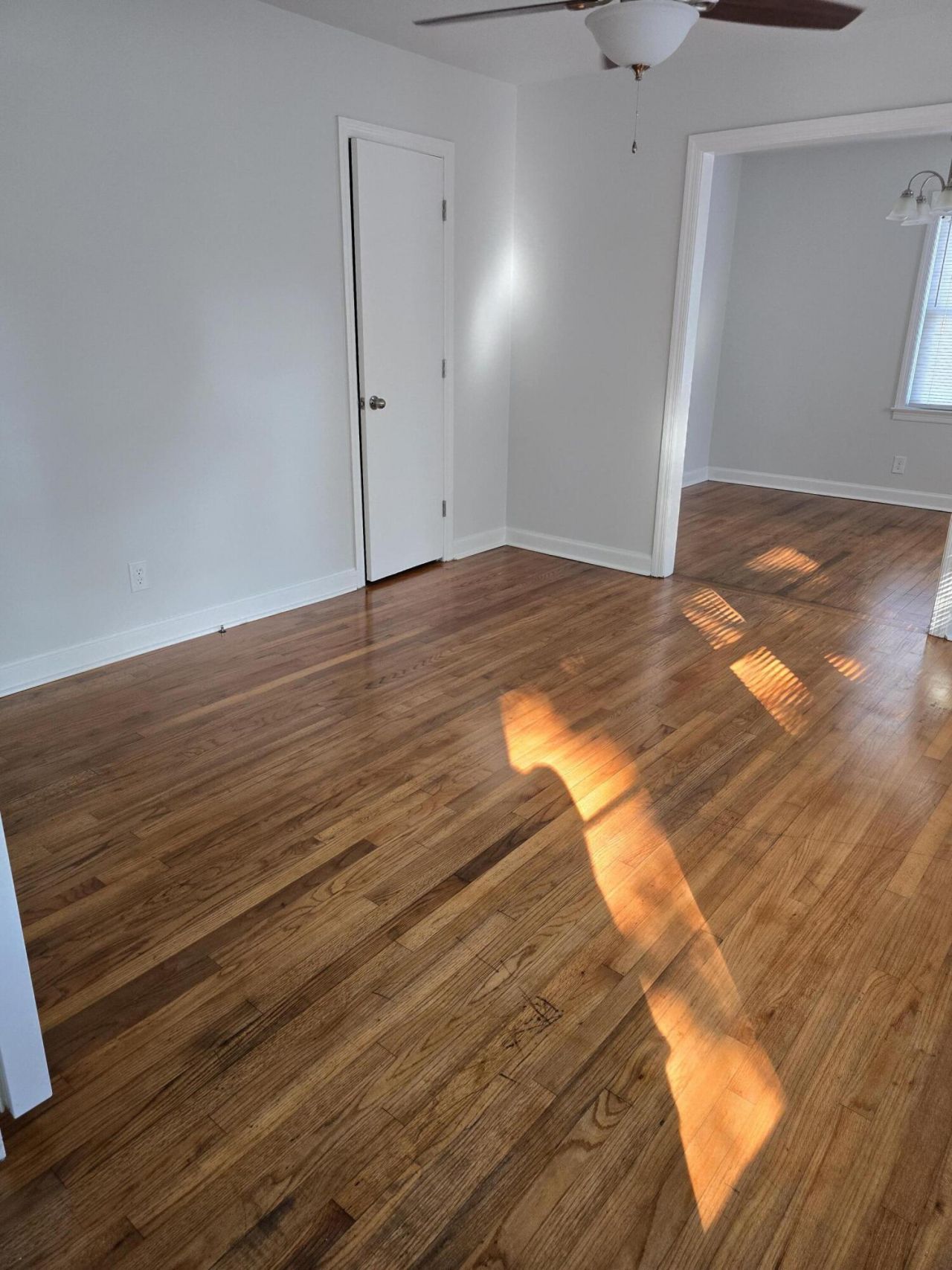 300 Mary Scott Drive Photo 4