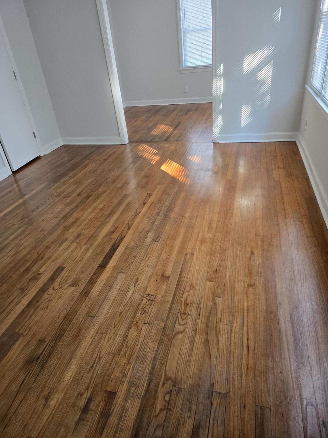 300 Mary Scott Drive Photo 5