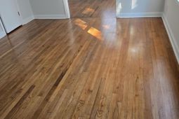300 Mary Scott Drive photo 4