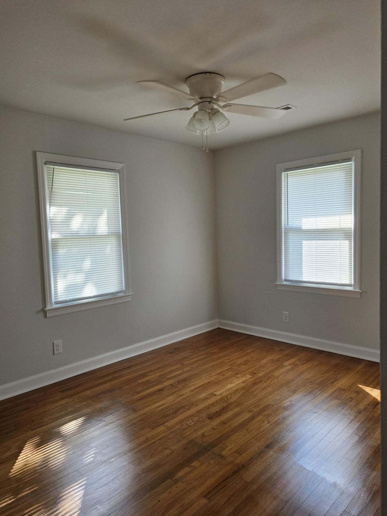 300 Mary Scott Drive Photo 8