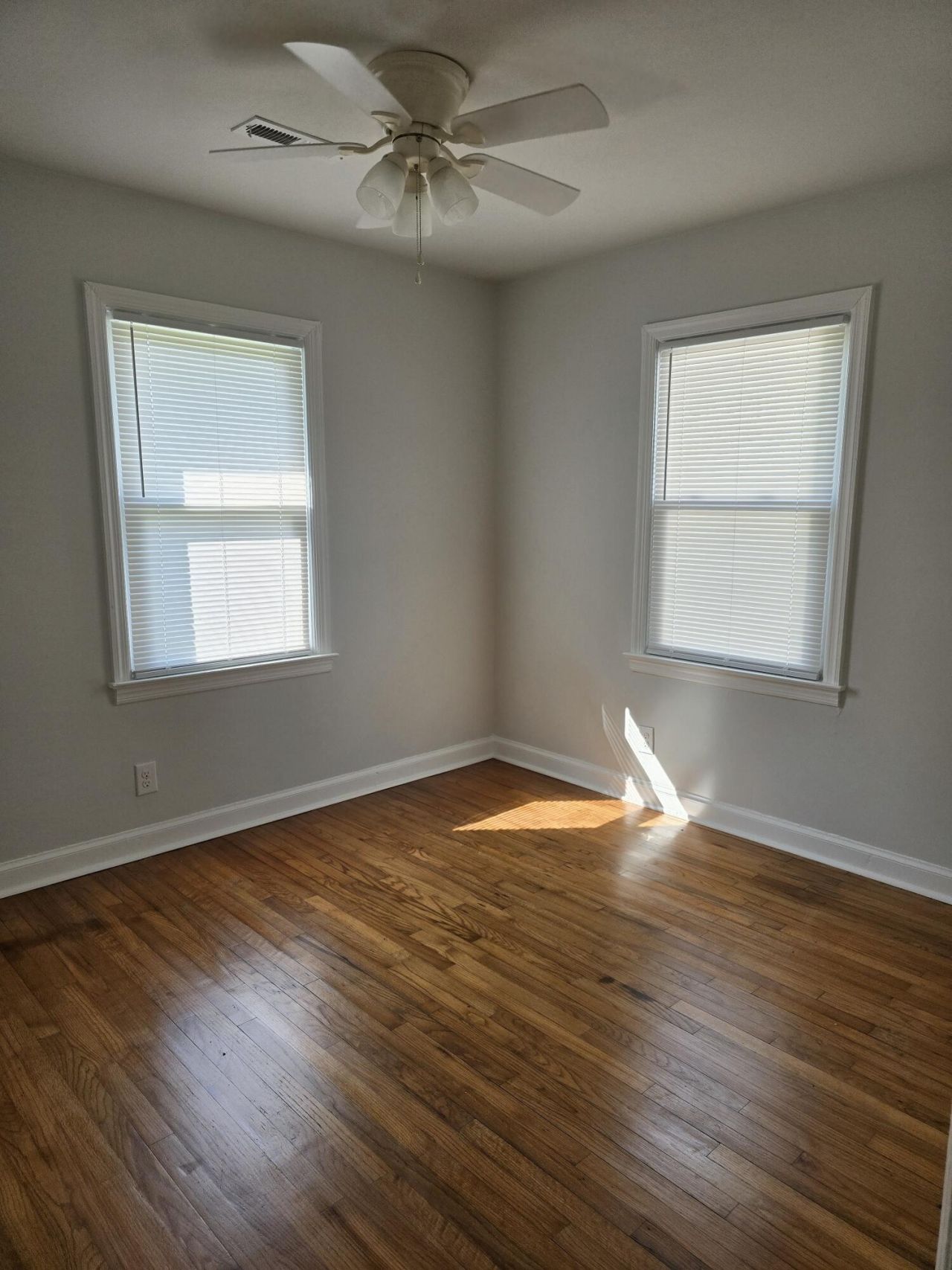 300 Mary Scott Drive Photo 9