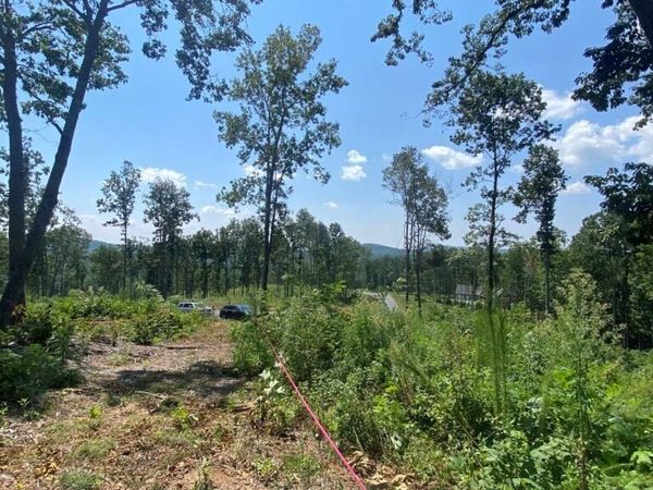 1084 Highgrove Drive, Talking Rock, GA 30175