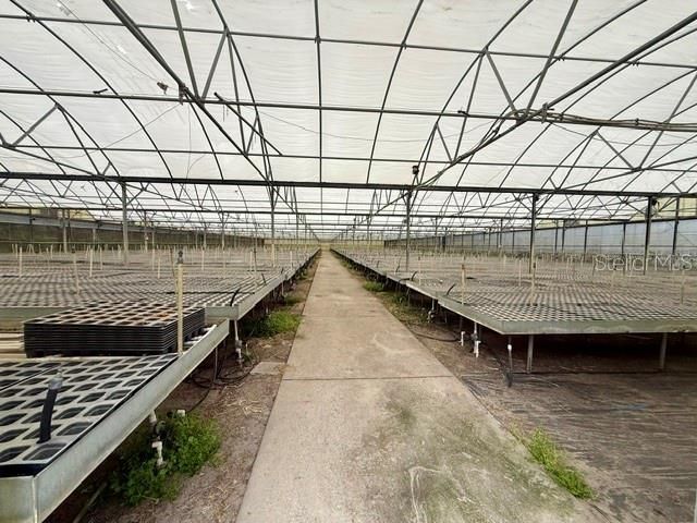 33322 County Road 437, Sorrento, FL 32776 Photo
