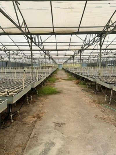 33322 County Road 437, Sorrento, FL 32776 Photo