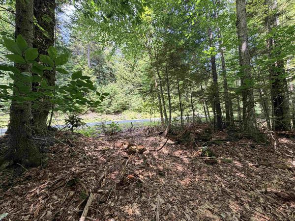 56 & 57 Boardman Loop, Wardsboro, VT 05355