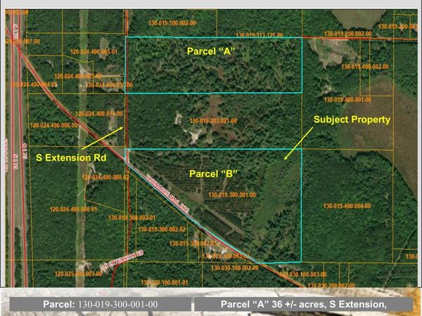 51+/-Acres Topinabee Mail Rte/S Extension Road, Topinabee, MI 49791