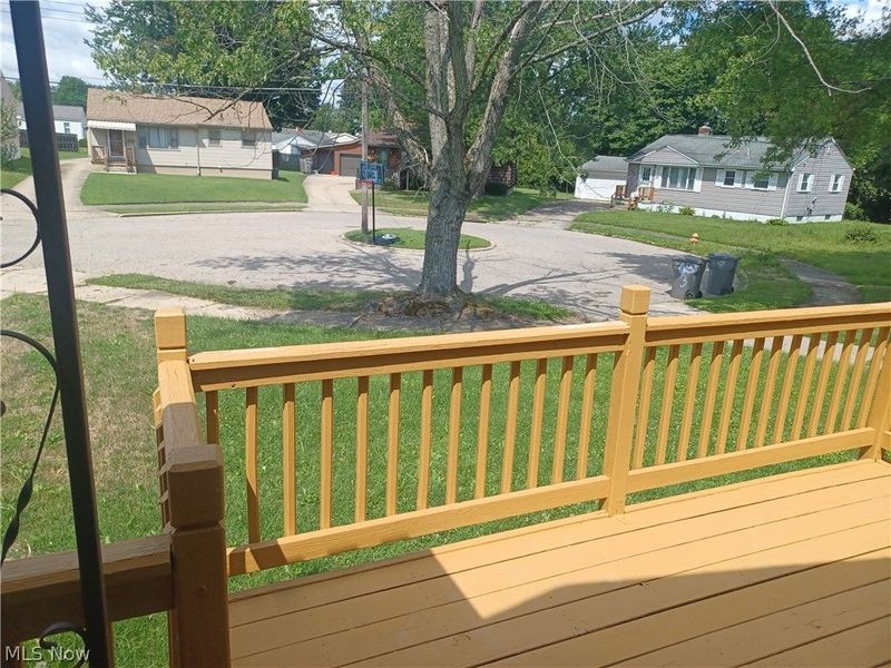 551 Moherman Avenue, Youngstown, OH 44509 Photo 40