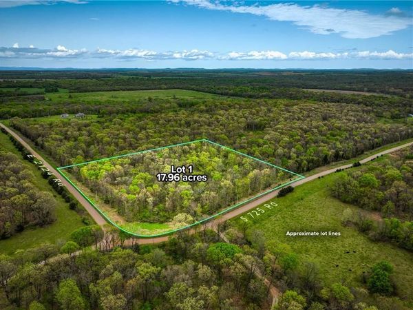 21395 SE 2124 Road, Stockton, MO 65785