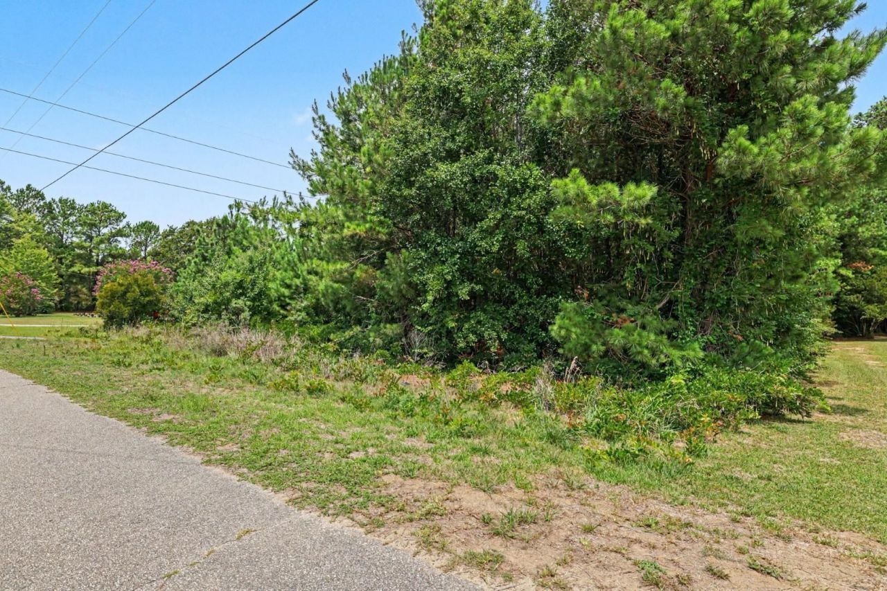 240 Calvary Rd. Photo 4