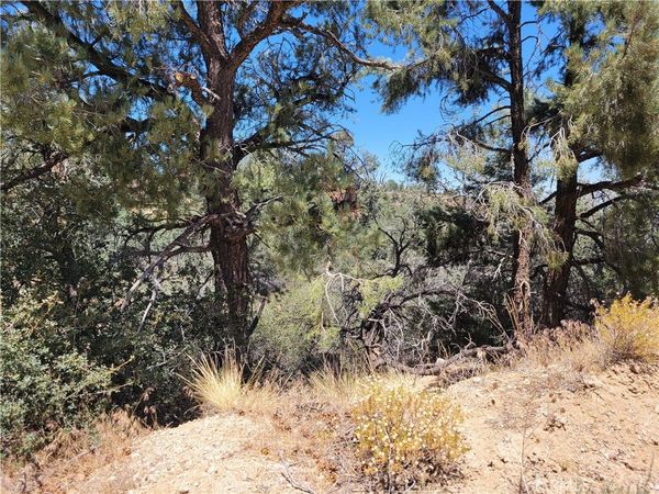0 Old Oak Springs Valley Road, Wrightwood, CA 92397
