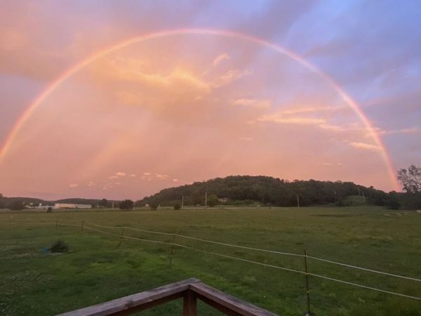 85 Quarter Horse Lane, Pineville, MO 64856