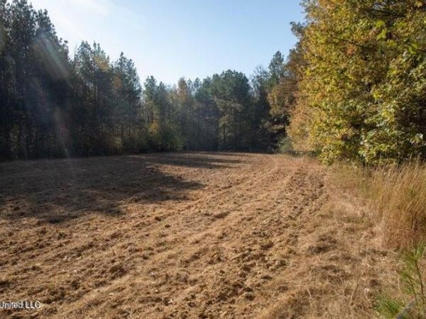 Vaughan Rd Road, Vaughan, MS 39179
