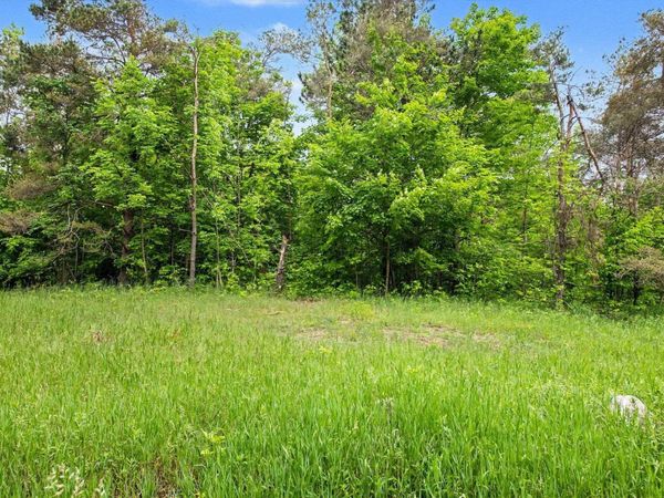Robinson Road, Harbor Springs, MI 49740