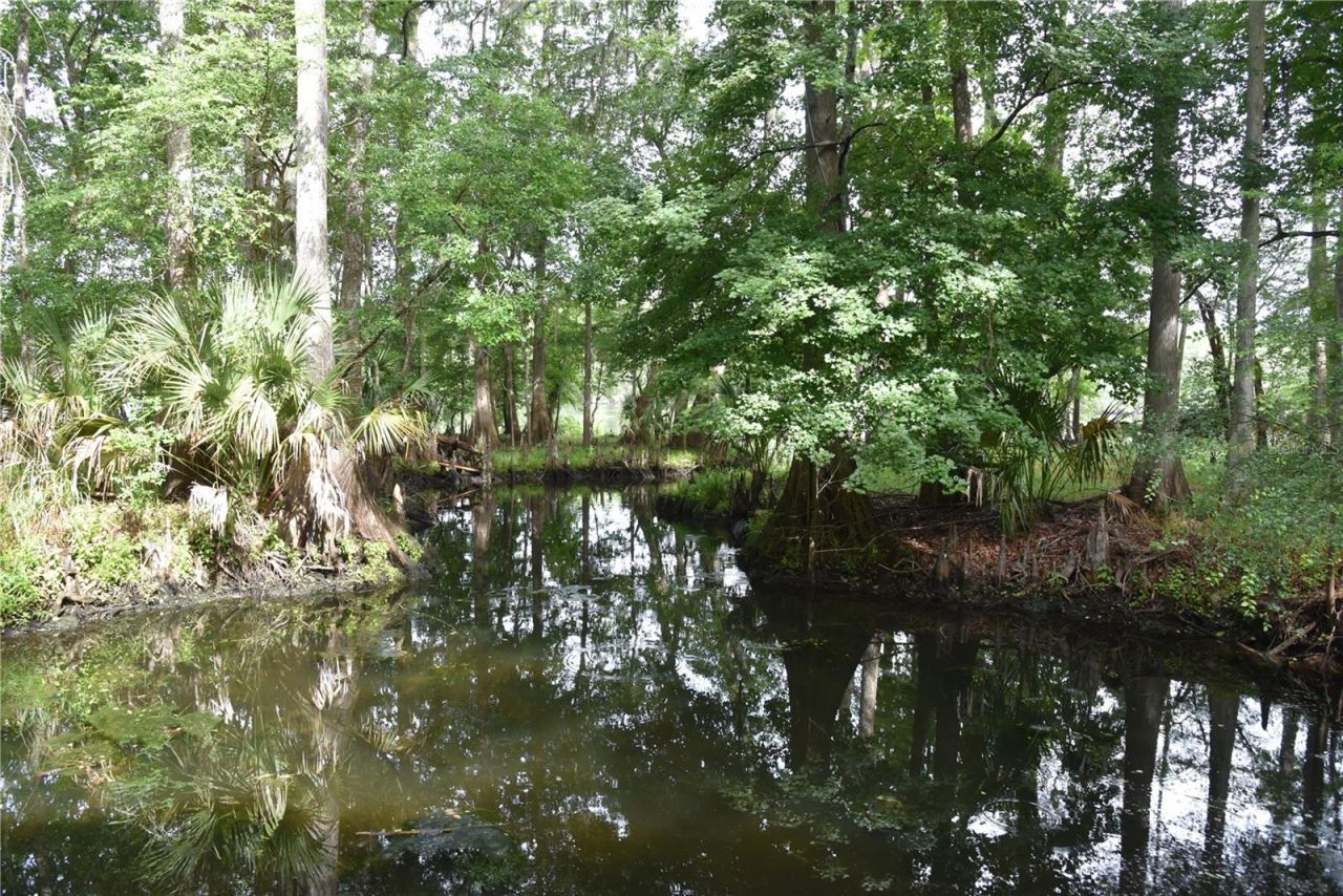 8650 NW 136th Avenue, Chiefland, FL 32626 Photo
