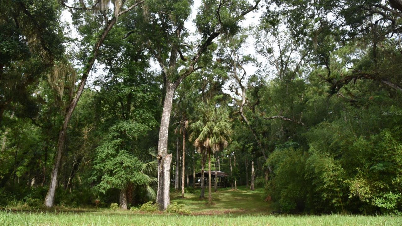 8650 NW 136th Avenue, Chiefland, FL 32626 Photo