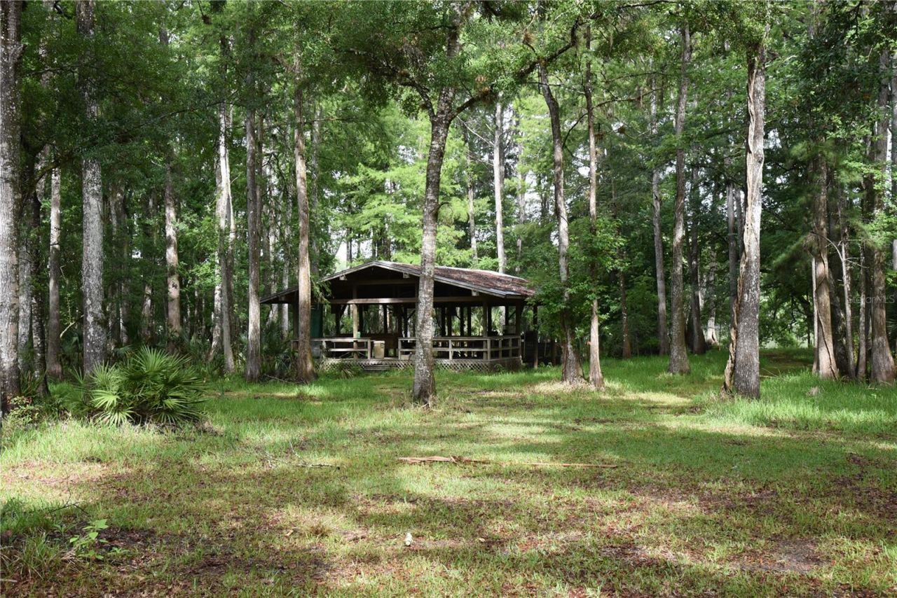 8650 NW 136th Avenue, Chiefland, FL 32626 Photo