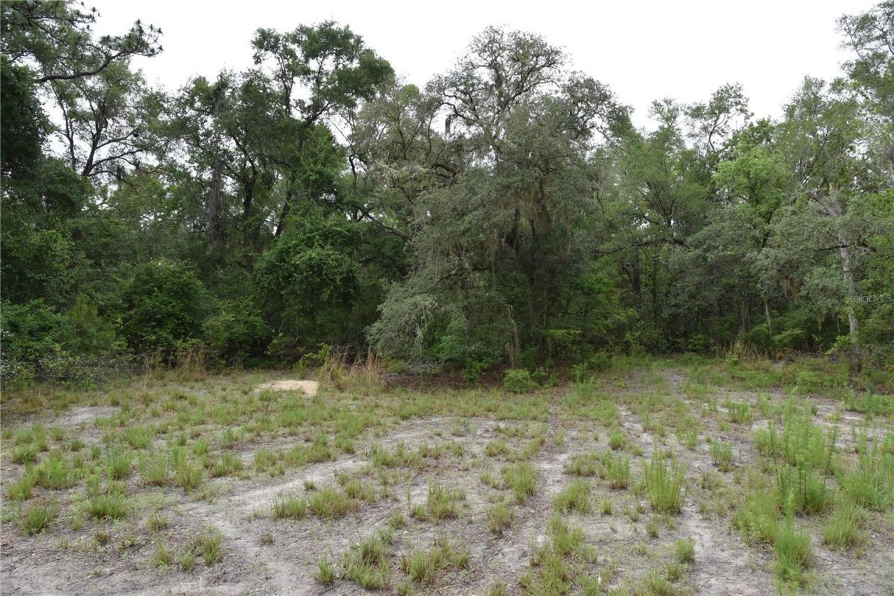 8650 NW 136th Avenue, Chiefland, FL 32626 Photo