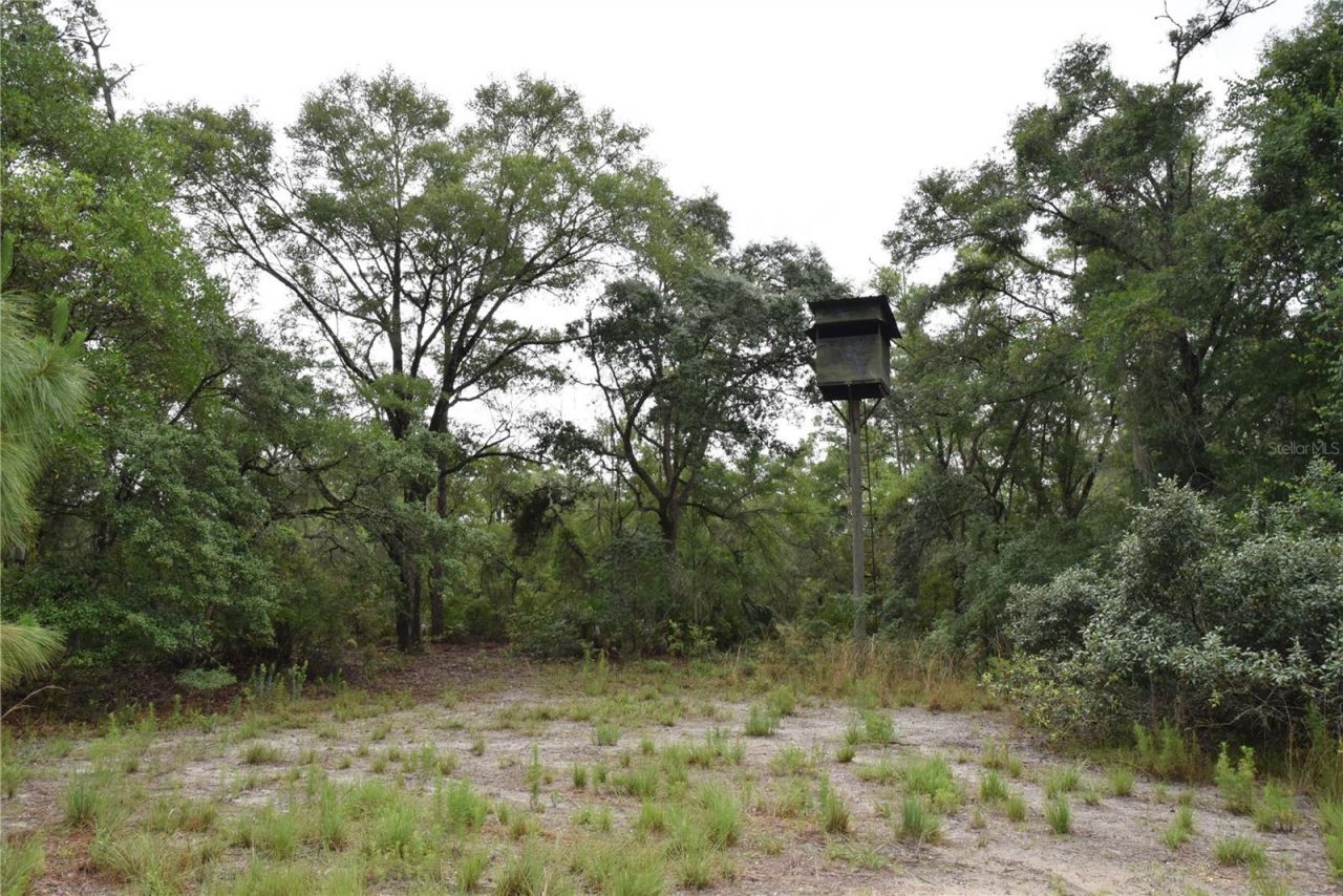 8650 NW 136th Avenue, Chiefland, FL 32626 Photo