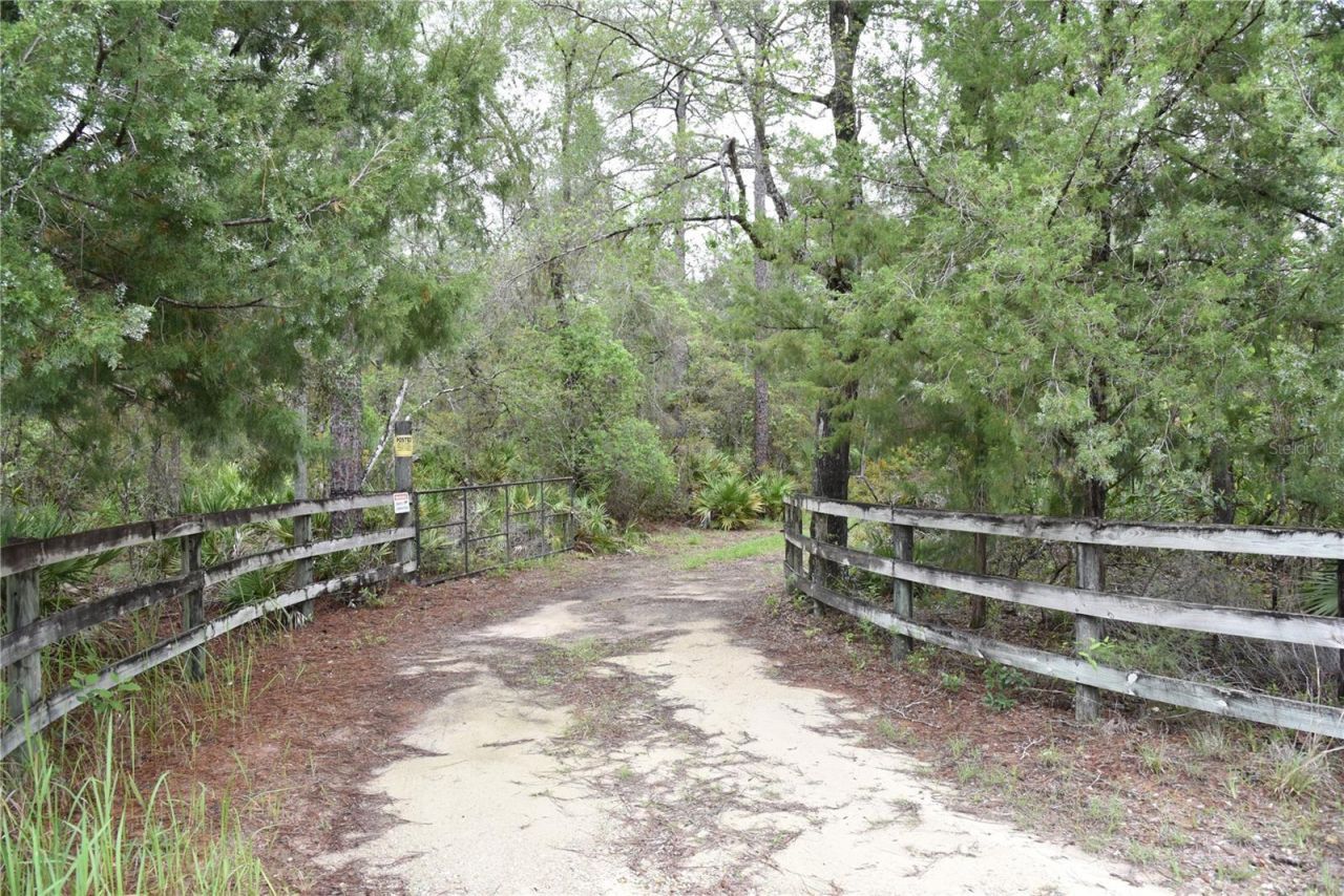 8650 NW 136th Avenue, Chiefland, FL 32626 Photo