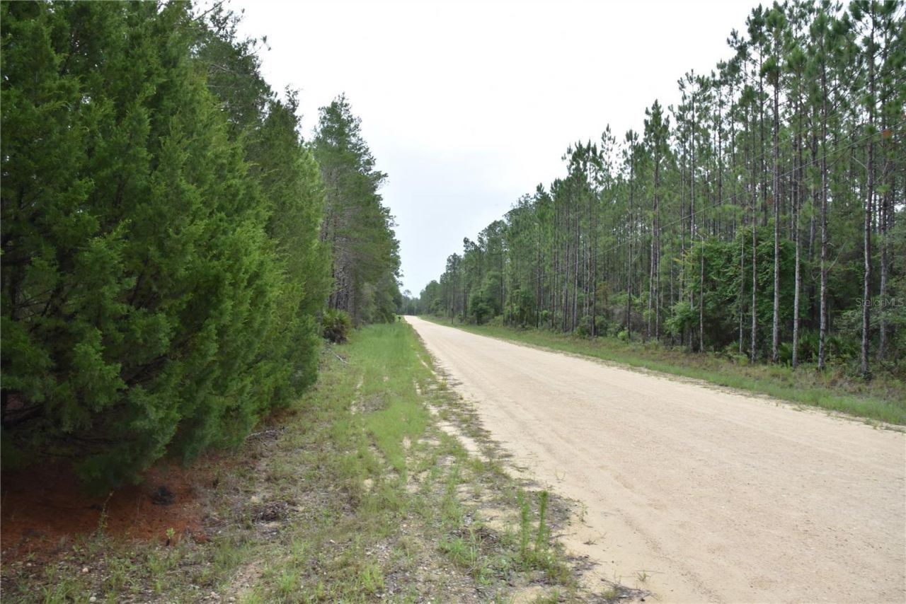 8650 NW 136th Avenue, Chiefland, FL 32626 Photo