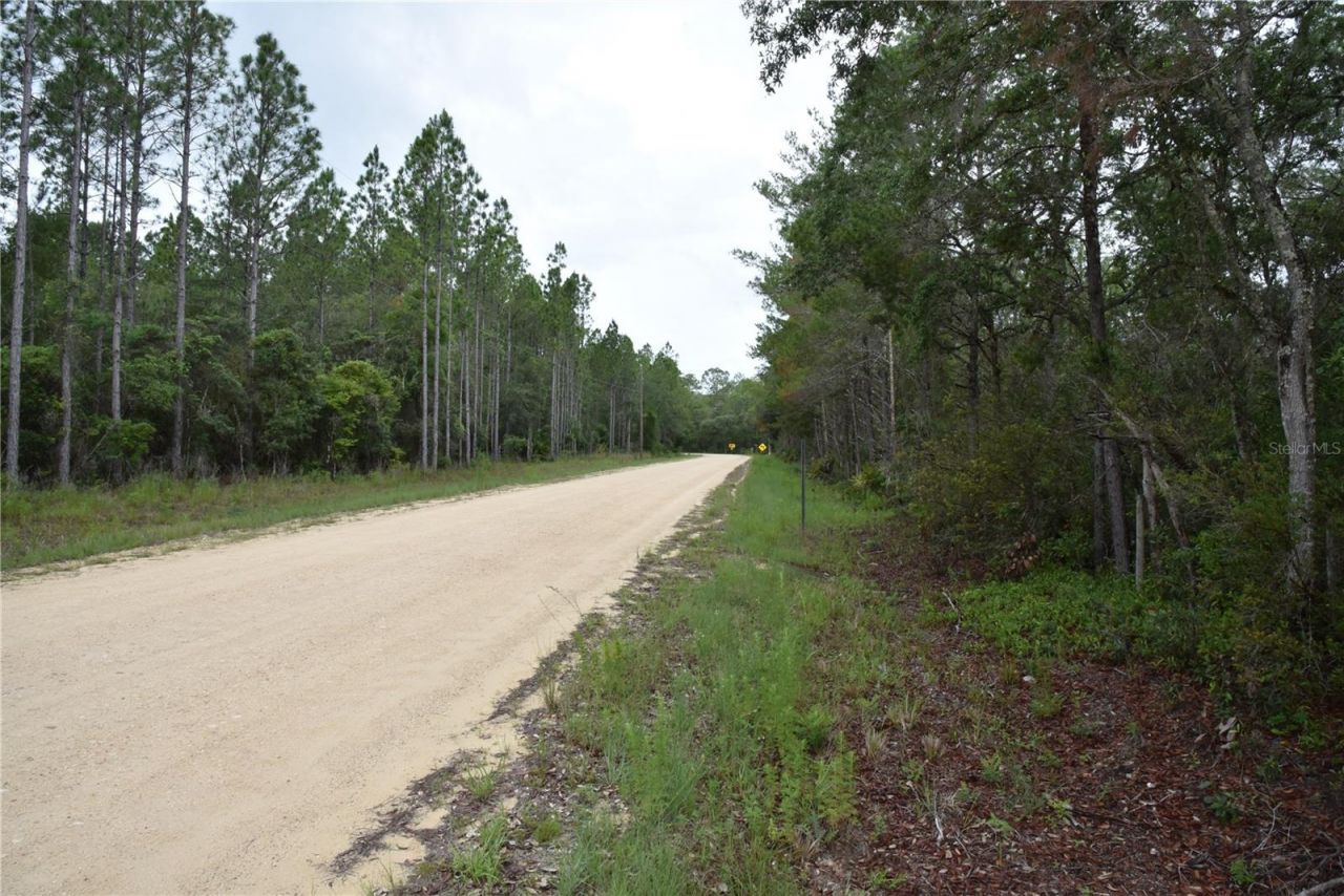 8650 NW 136th Avenue, Chiefland, FL 32626 Photo