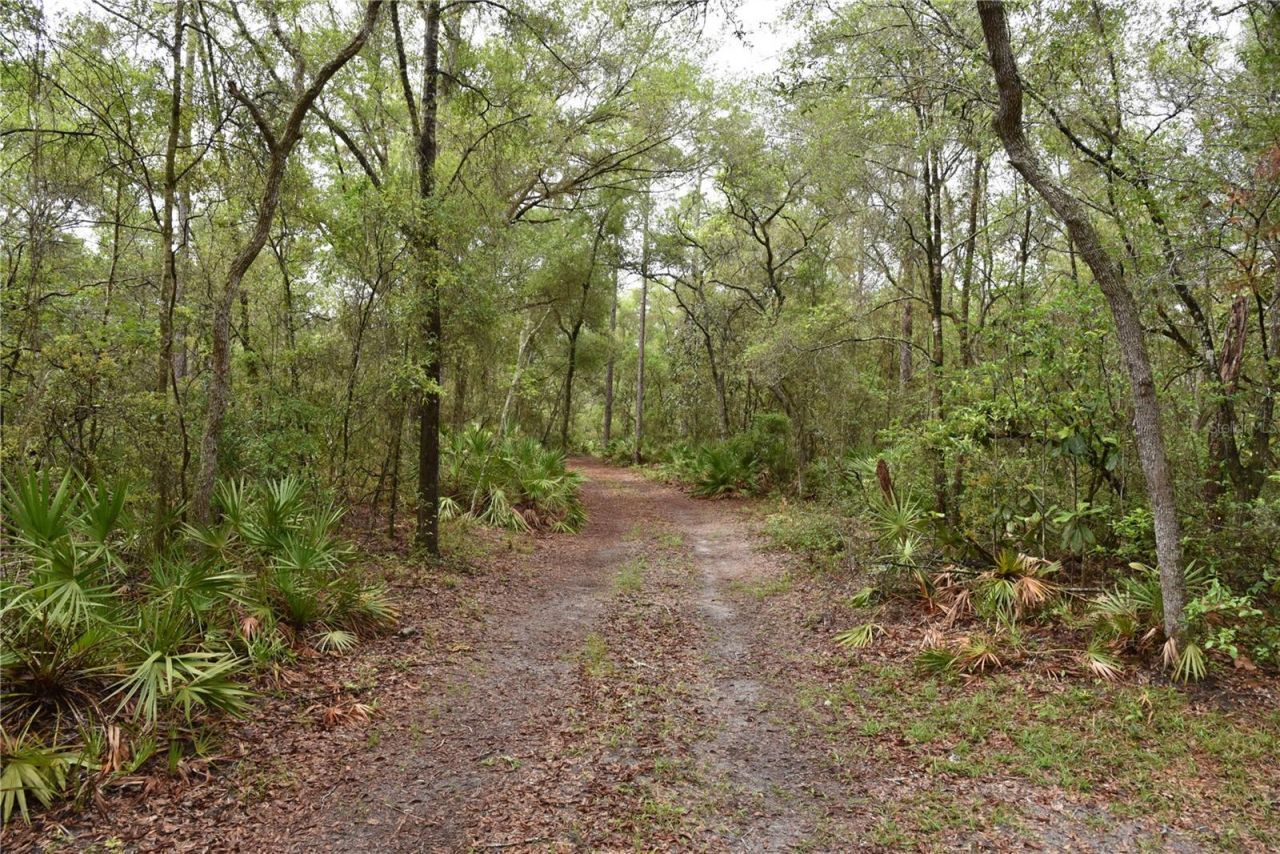 8650 NW 136th Avenue, Chiefland, FL 32626 Photo
